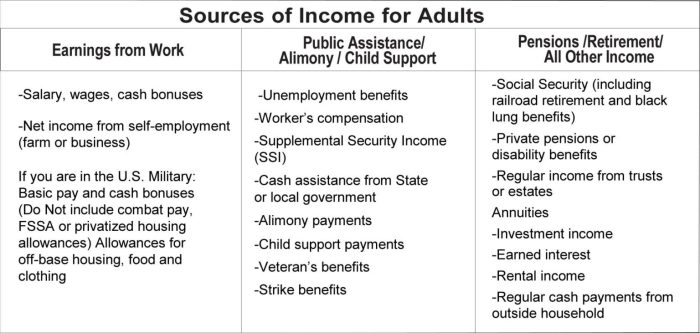 income-type-chart-adult-1536x732